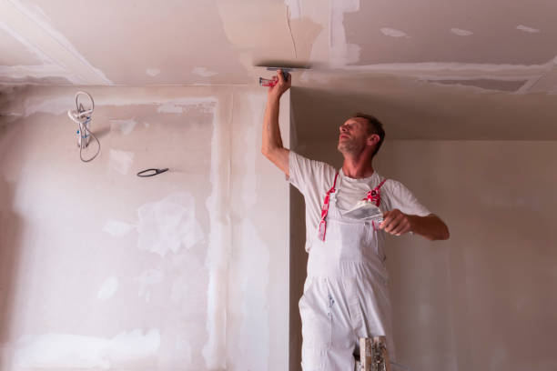 Best Water-Damaged Drywall Repair  in Ringwood, NJ