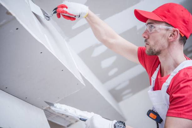 Best Drywall Sanding and Smoothing  in Ringwood, NJ